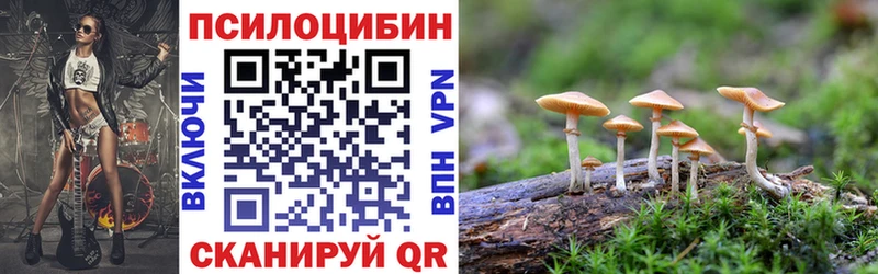 KRAKEN ссылки  дарнет шоп  Лермонтов  нарко площадка состав  Псилоцибиновые грибы MAGIC MUSHROOMS 